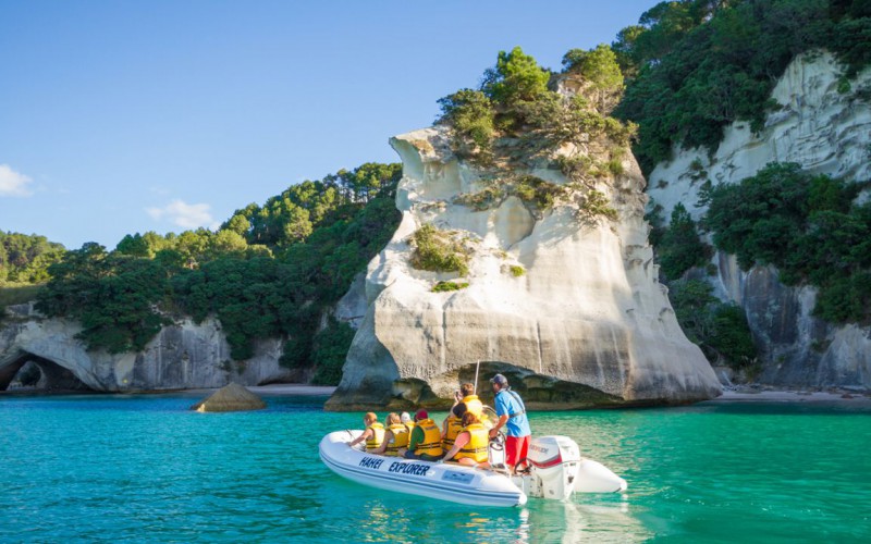 Cathedral Cove Kayak Tours