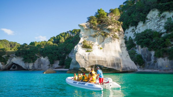 Cathedral Cove Kayak Tours
